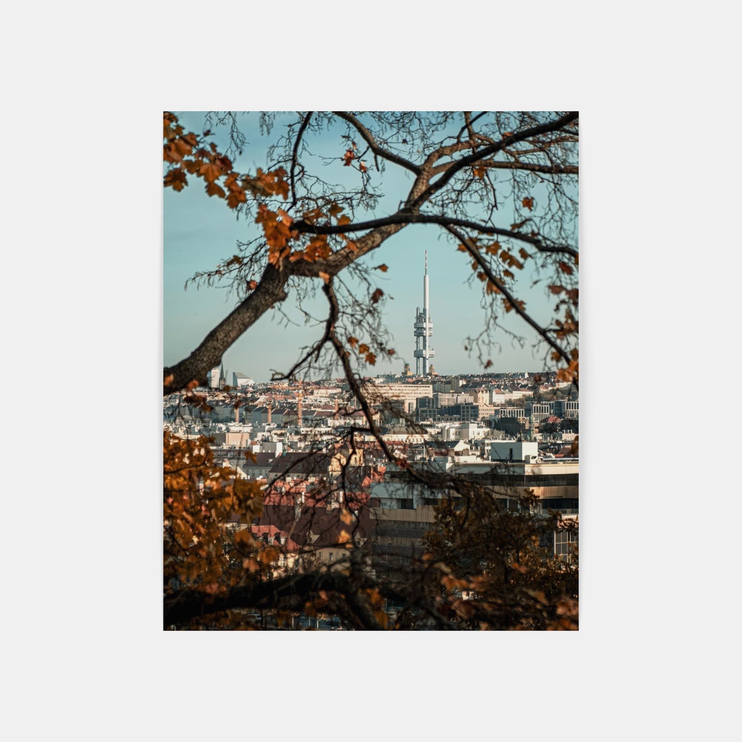Ostrá podzimní procházka – Letná, Praha, CZ, 2021