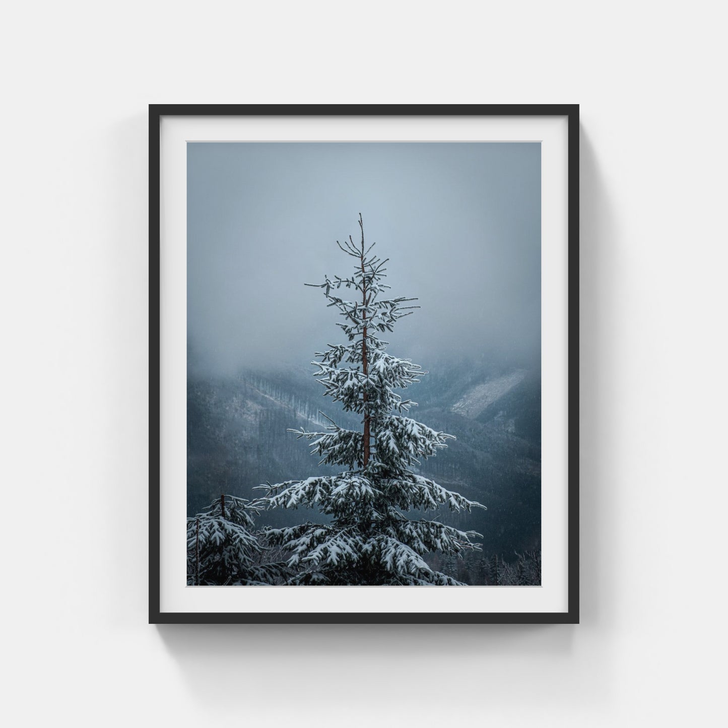 Snowy Treetop – Lysa Hora, Czech Republic, 2020