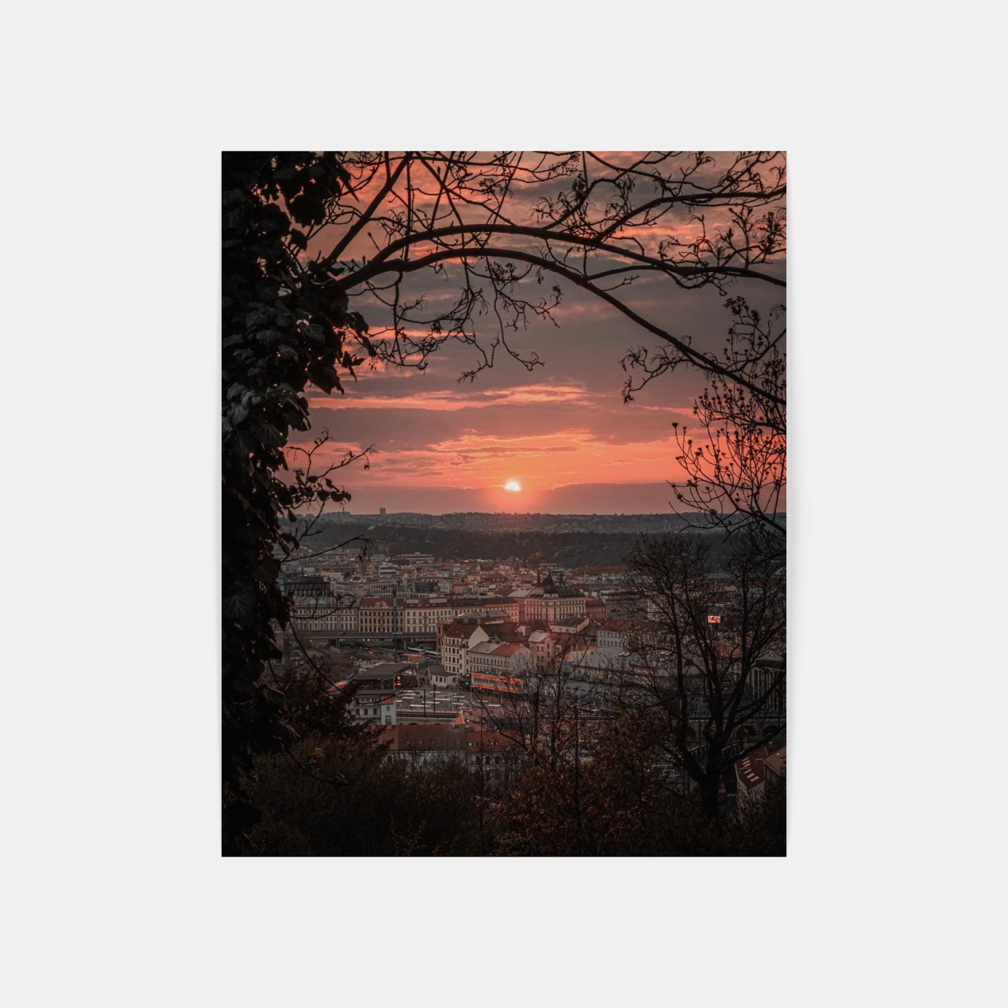 Nature’s Frame – Vitkov, Prague, Czech Republic, 2020