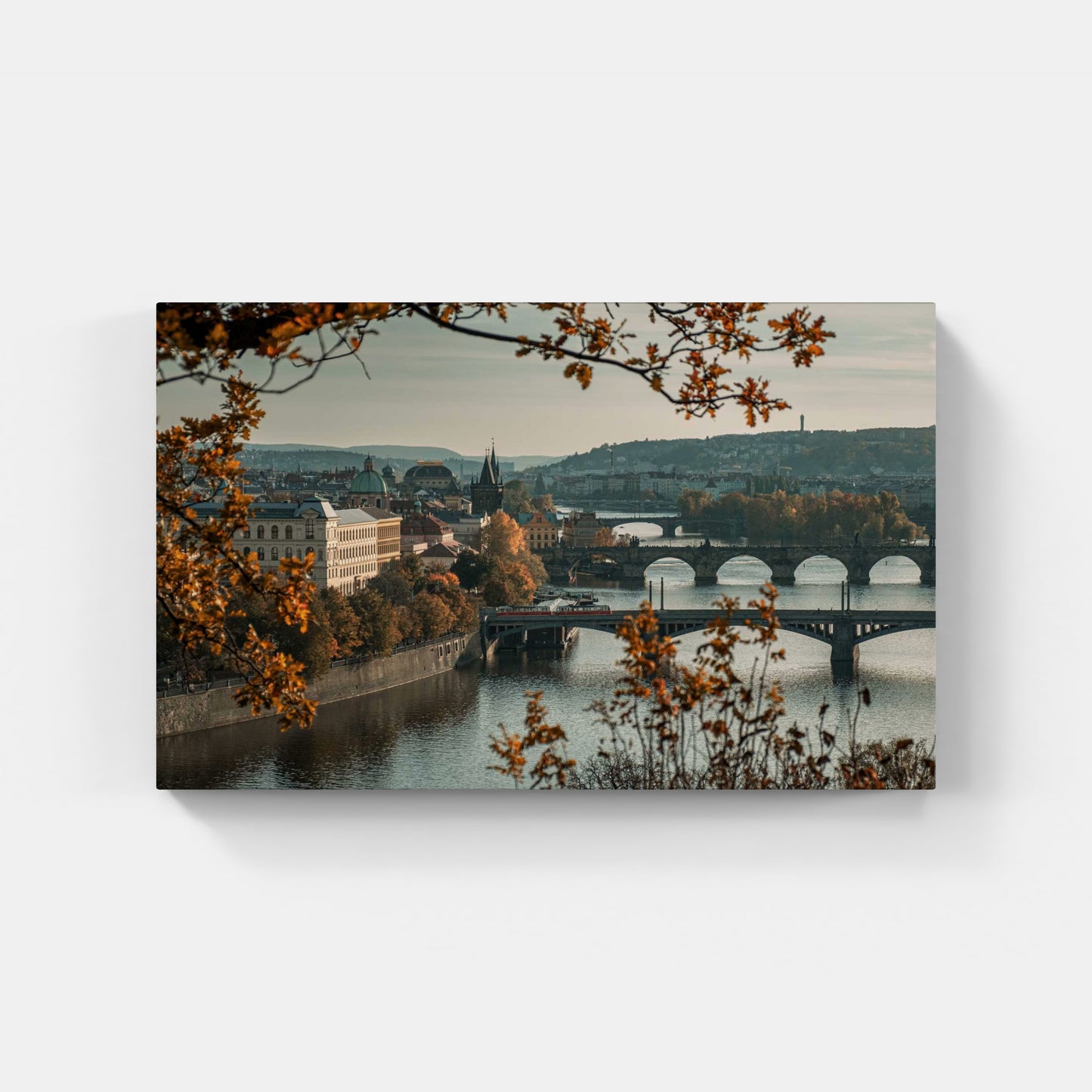 Zlatý rám – výroční, Praha, CZ, 2021