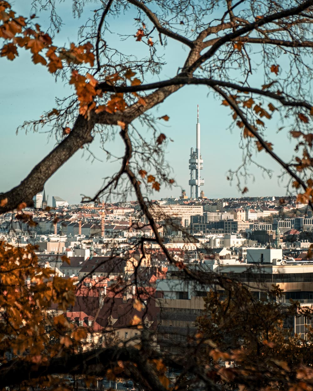Crisp Autumn walk – Letna, Prague, Czech Republic, 2021