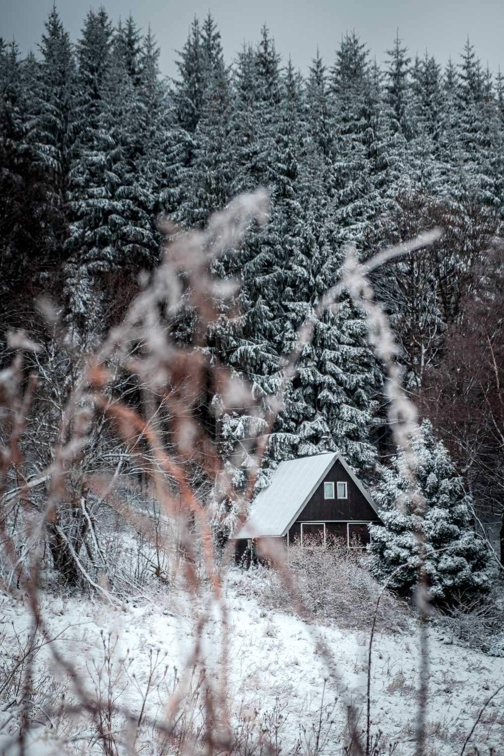 Hidden Cabin, Portrait – Lysa Hora, Czech Republic, 2020