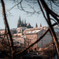 Zimní světlo – Pražský hrad, CZ, 2020