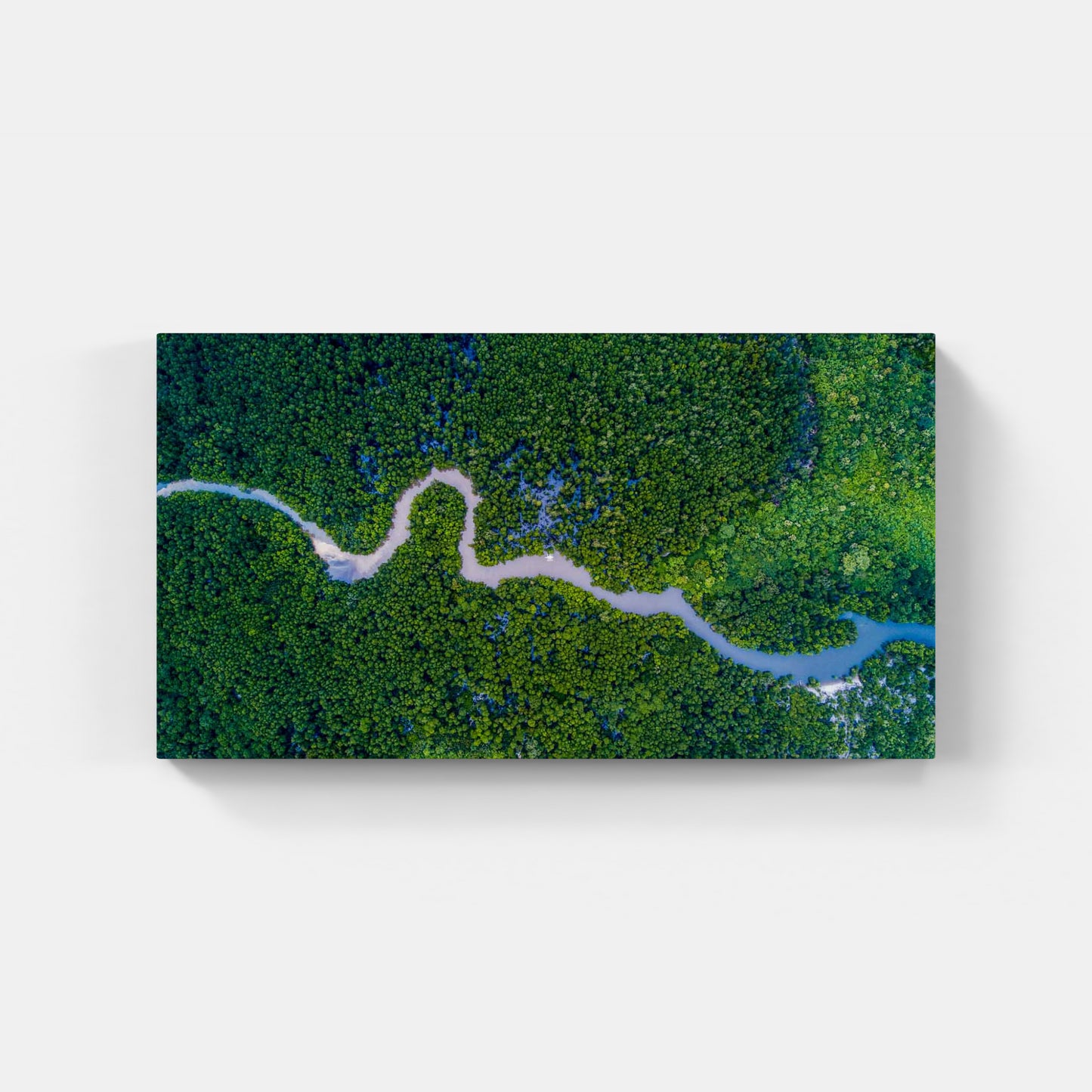 River through mangroves, Philippines