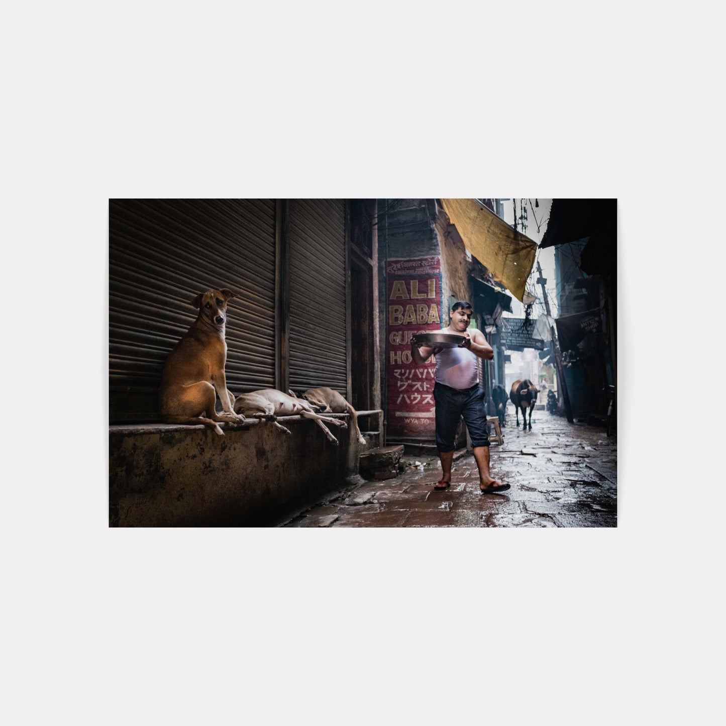 Talíř sýra – Varanasi, Indie