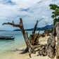 Ostrov Magsaysay – Filipíny