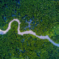 Řeka přes mangrovníky – Filipíny