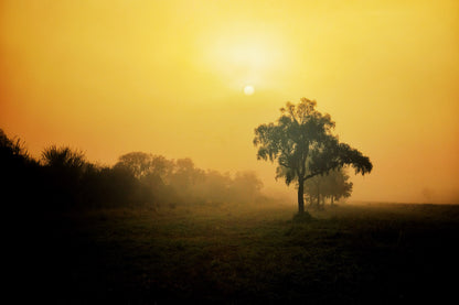 Slunce – Paraguay