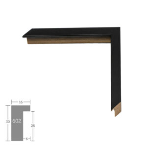 Nielsen Augusta 602/FJ016