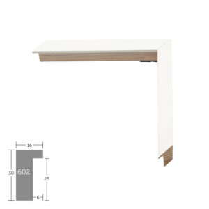 Nielsen Augusta 602/FJ900