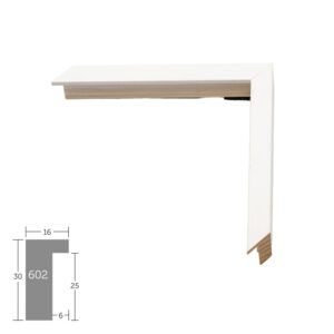 Nielsen Augusta 602/FLAY900